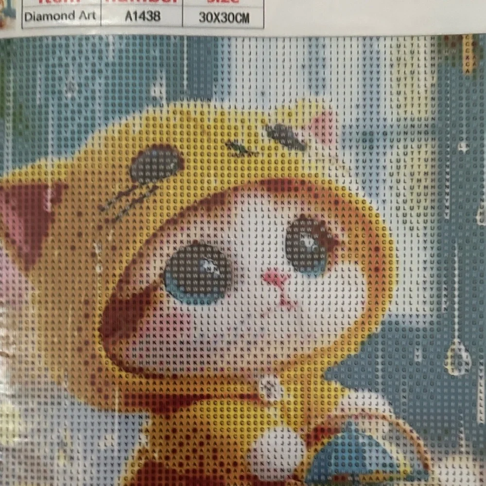 Host Support Diamond Art Kit. Pretty Kitty in Hoodie.